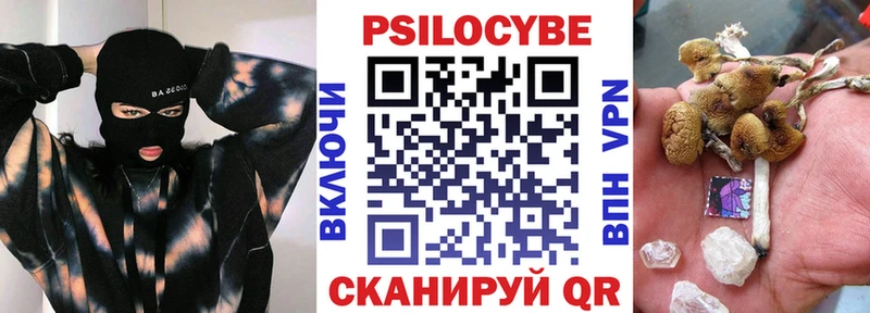 Галлюциногенные грибы прущие грибы  Черняховск 